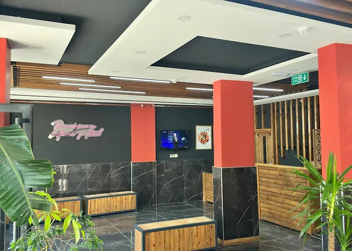 公寓式酒店 Renaissance 3*