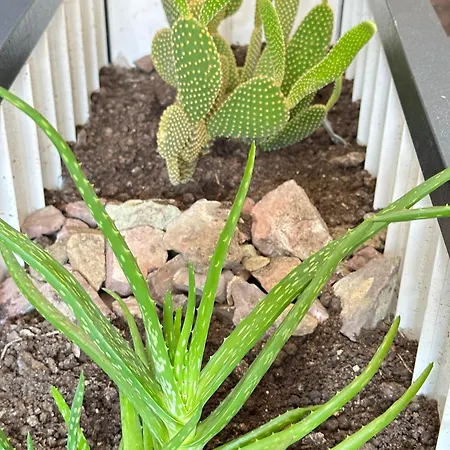 Aparthotel Renaissance Trabzon