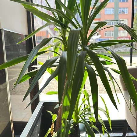 Aparthotel Renaissance Trabzon