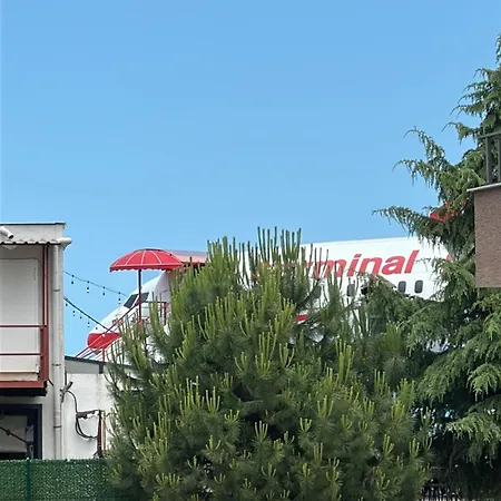 Renaissance *