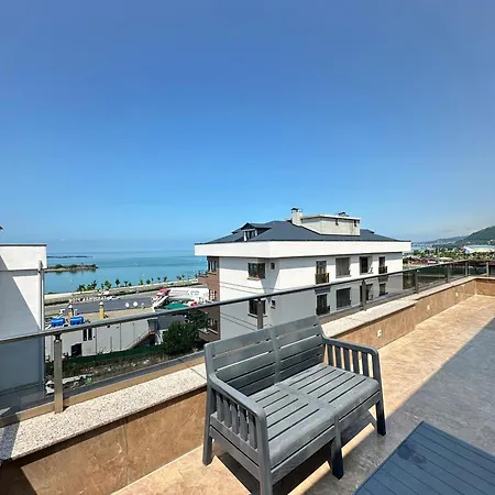 Renaissance 3*